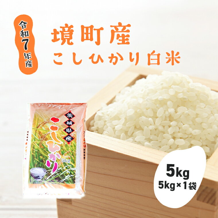【ふるさと納税】【令和7年産】境町こだわり白米「コシヒカリ」 5kg(5kg×1袋) | 米 お米 2025年産 こしひかり