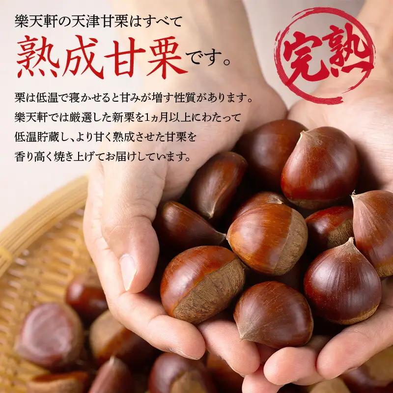 甘栗 天津甘栗1.2kg