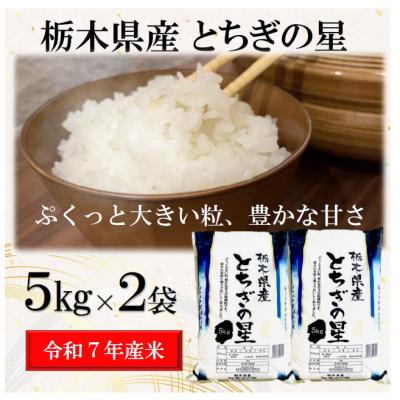 ふるさと納税 宇都宮市 【令和7年産】栃木県産とちぎの星(精米)10kg【5kg×2袋】