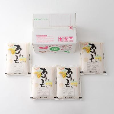 ふるさと納税 大館市 【新米先行受付】令和7年産ホタルが舞う清らかな環境で育った「あきたこまち」8kg(2kg×4袋) |  | 02