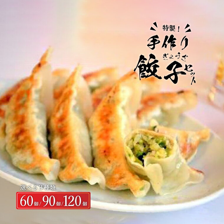 【ふるさと納税】 にんにくあるなし 餃子 冷凍餃子 セット 冷凍食品 人気 美味しい 老舗 有名店 ニンニク スタミナ餃子 選べる個数 60個 90個 120個 パーティ おすすめ おいしい 手作り ギョーザ ぎょうざ 焼き餃子 野菜 おかず 総菜 おつまみ 中華 大量