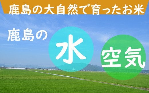 V-36 無洗米さがびより20kg定期便（12か月）
