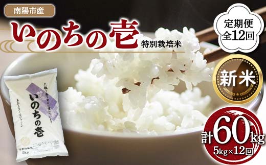 【令和8年産 新米 先行予約】 【金賞受賞農家】 《定期便12