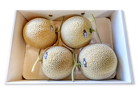 B-927 益田産アールスメロン 夏作 3~5玉