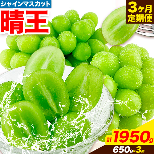 ぶどう 3ヶ月 定期便 [2025年先行予約] シャインマスカット 晴王 約650g 岡山県産《9月上旬-1１月末頃出荷(土日祝除く)》 ハレノフルーツ マスカット 送料無料 岡山県 浅口市 フルーツ 果物 贈り物 ギフト 国産 岡山県産 くだもの【配送不可地域あり】