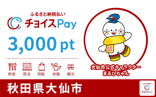 
            大仙市チョイスPay 3,000pt【会員限定のお礼の品】
          