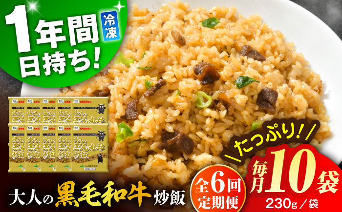 【全6回定期便】熊本県産 こだわり炒飯 大人の黒毛和牛炒飯 計2.3kg (230g×10)【ユーユーフーズ株式会社】 [BHCS020]