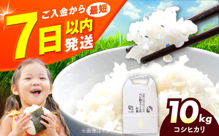 ＼スピード発送／お米 10キロ ベジ彩ファーム[AOEJ013] お米