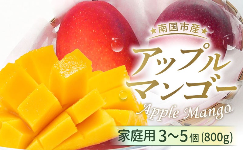 
                  【先行予約】家庭用アップルマンゴー 800g（2027年6月～発送）| 高知県産 マンゴー アップルマンゴー フルーツ 果物 厳選 人気 デザート 贈り物 くだもの 旬 お取り寄せ 訳アリマンゴー 甘い 訳あり 先行予約 産地直送マンゴー 万円 西島園芸団地 高知県 南国市
                