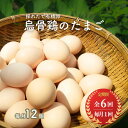 【定期便6回コース】烏骨鶏のたまご　有精卵12個入り