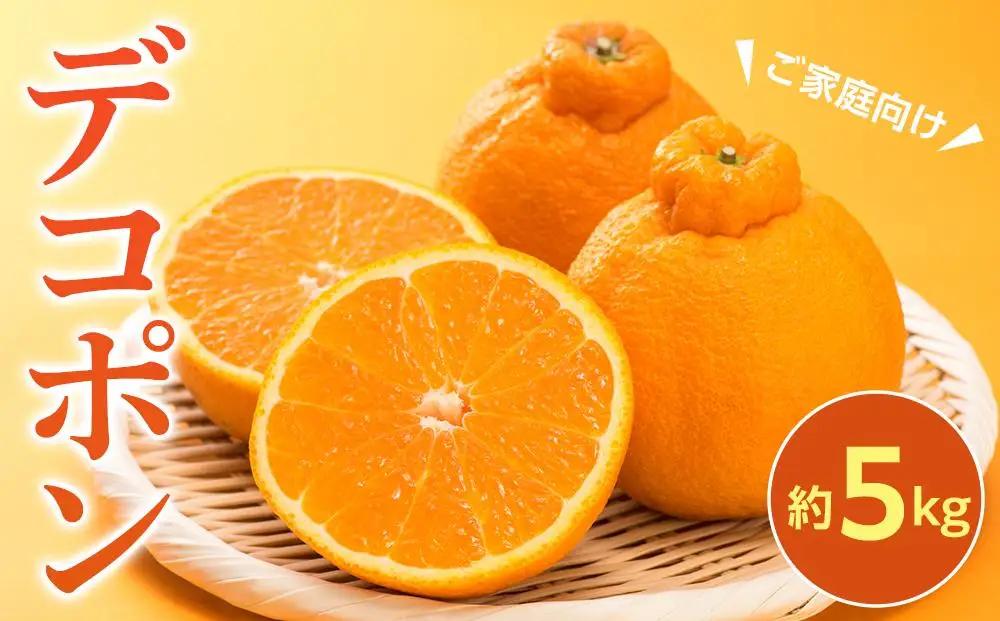 【2027年3月中旬より発送】ご家庭向け！濃厚甘味の「デコポン」約5kg |デコポン 柑橘 美味しい デコポン 小豆島 人気 美味しい フルーツ デコポン フルーツ 柑橘 デコポン 小豆島
