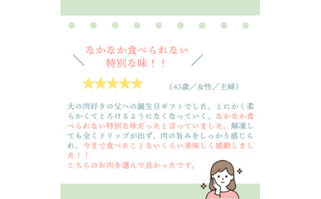 佐賀牛サーロインステーキ 5枚：B530-008