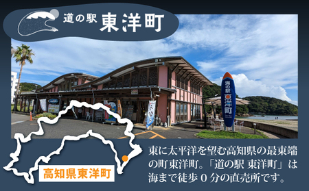 味醂干し さば&あじセット あじ2枚×3袋・さば2枚×2袋（10枚） MT017