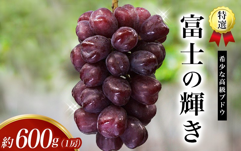 
                  ＜早い者勝ち！＞【先行予約】 特選 富士の輝き 約600g 1房 ※2026年9月頃発送予定 / ブラックシャイン ブラックシャインマスカット シャイン 富士の輝 葡萄 ブドウ 田辺市 和歌山県【kkb006-1】
                