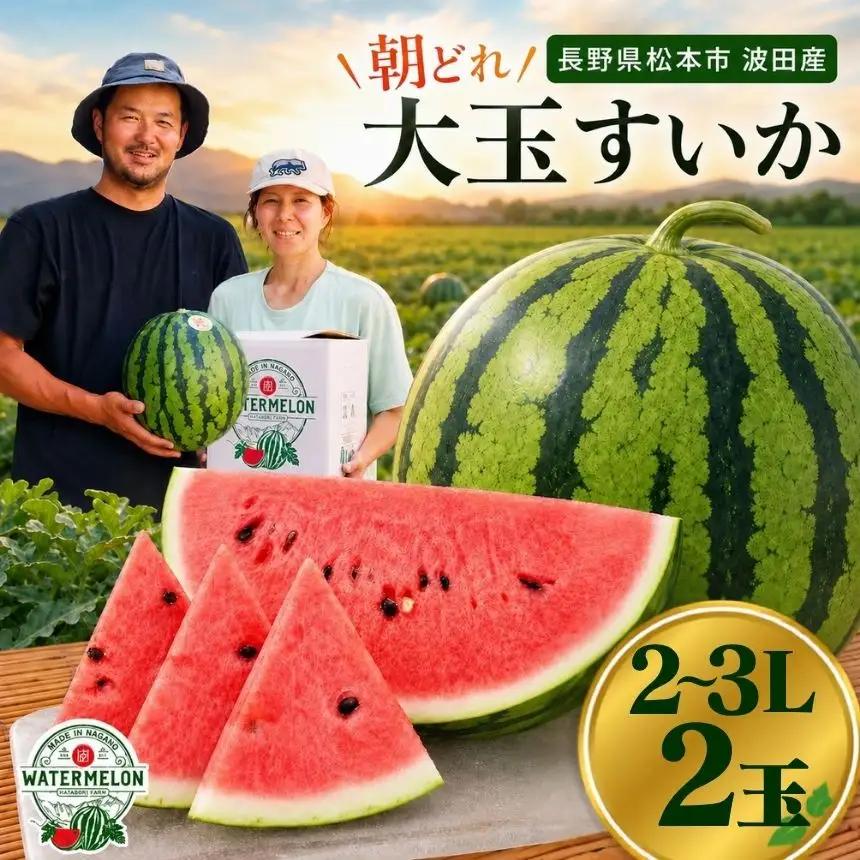 【先行受付：2027年発送】松本市 波田産 すいか 2L～3L × 2玉入り