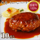 【ふるさと納税】No.198 【牛壱】国産牛100％ミニハンバーグ10個　75g×10個 ／ 挽肉 自家製タレ 送料無料 大阪府