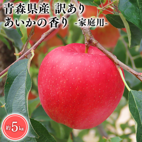 １２月発送　訳あり　家庭用　甚八りんごあいかの香り5kg　【マルジンサンアップル　12月　青森県産　平川市　りんご　あいかの香り　5kg　訳あり　家庭用】