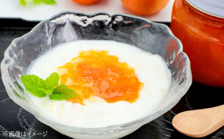 【全3回定期便】 ジャム 田尻完熟あんずジャム (2本)　ジャム 果物 あんず パン 甘い 菓子 朝ごはん 広島県福山市/有限会社勉強堂[BAFL012]