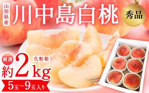 山形県産 厳選 川中島白桃 秀品 約2kg 化粧箱 (5玉～9玉入り) 《先行予約 2026年度8月発送開始》 FSY-2493