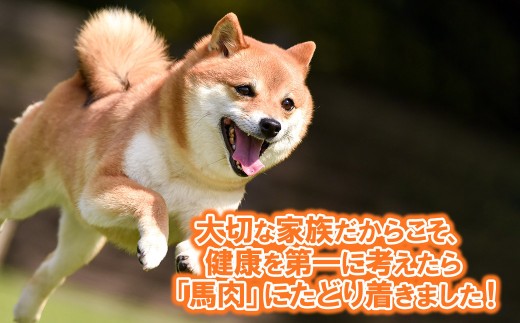 【定期便2回】ペットフード 馬肉 《2kg×2回》犬 おやつ 馬肉 赤身 切り落とし ドッグフード 無添加 高たんぱく 低カロリー ご褒美 ヘルシー 大容量 冷凍 熊本県 水上村