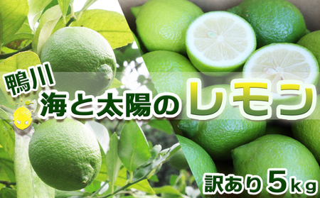 《１月発送》【皮まで食べられる】海と太陽のレモン【訳あり品-良品-】５kg（約40個） [0011-0058]