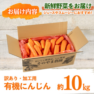 湧水町産有機にんじん10kg (訳あり) にんじん_y161