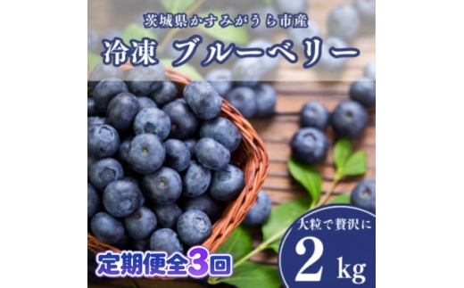 【毎月定期便】冷凍ブルーベリー2kg(500g×4パック)全3回【4092941】