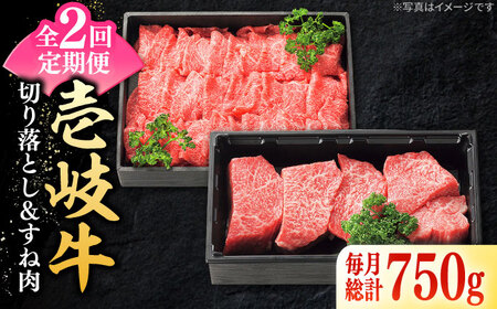 【全2回定期便】 特選 壱岐牛 切り落とし（450g）＆すね肉（300g）《壱岐市》【太陽商事】 肉 牛肉 切り落とし 切落し 薄切り すき焼き しゃぶしゃぶ カレー シチュー 煮込み 定期便[JDL