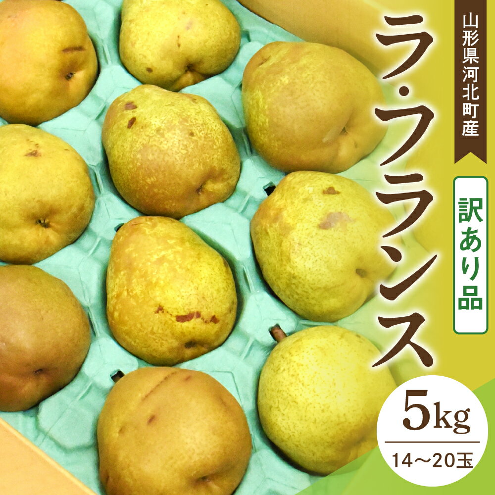 【ふるさと納税】【訳あり令和7年産】 洋梨 ラフランス 5kg 山形県河北町産【山形eLab】/ ラ・フランス 洋なし 洋ナシ 西洋梨 フルーツ 果物 くだもの お取り寄せ グルメ 産地直送 山形県 河北町