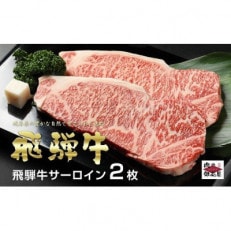 飛騨牛サーロインステーキ【250g×2】