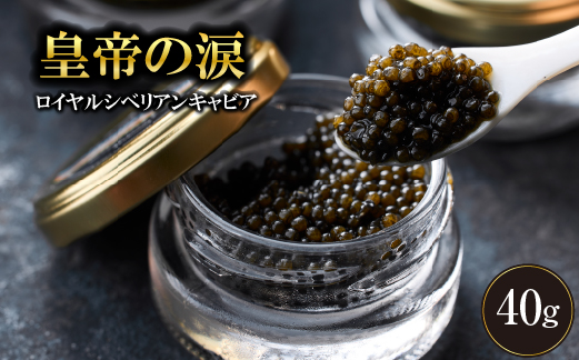 【純国産キャビア】ロイヤルシベリアンキャビア 40g 皇帝の涙 国産 チョウザメ 魚卵 宮崎県