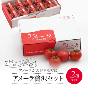アメーラ トマト ミニトマト 高糖度 アメーラトマト アメーラルビンズ 10パックセット 