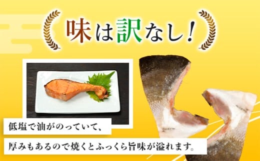 訳あり厚切り紅鮭　1.5kg以上 KJ007