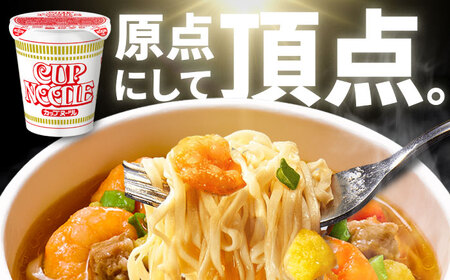 【全6回定期便】日清カップヌードル 20食 BIBI008 カップヌードル