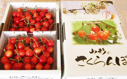 さくらんぼ（佐藤錦）８００ｇ　ご家庭用　0025-2602