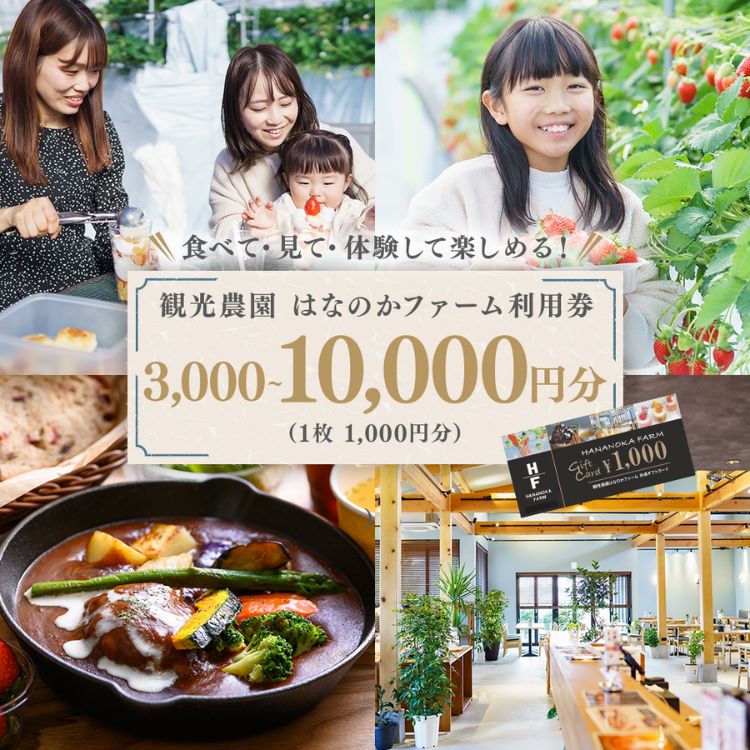 【ふるさと納税】観光農園はなのかファーム利用券3～10枚綴り(3,000～10,000円分) ｜ チケット 体験チケット いちご狩り カフェ お出かけ 休日 ※離島への配送不可