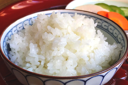 [数量限定] 令和7年度産 特別栽培米 コシヒカリ 白米10kg (5kg×2袋)｜こしひかり お米 ご飯 ライス 2025年度米 白米 精米 国産 日光産 産地直送 先行予約 [0707]