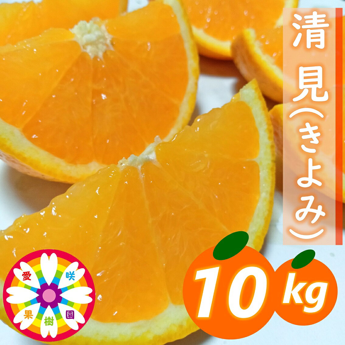 【ふるさと納税】【先行受付】愛咲果樹園「清見」約10kg【71-57】ふるさと納税 みかん ミカン 柑橘 くだもの 果物 フルーツ 温州 甘い 常温 デザート 産地直送 産直 愛媛 YWTS061