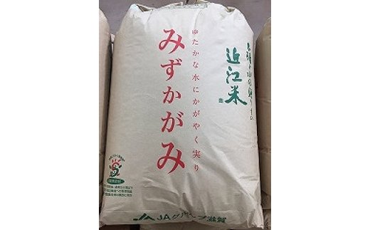 【新米】【令和7年産】環境こだわり米「みずかがみ」玄米【30kg×1袋】【K073W】