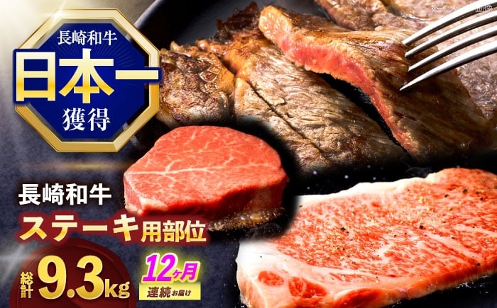 
            【12回定期便】長崎和牛 ステーキ用部位×12回定期便【株式会社 黒牛】[OCE108] / ヒレステーキ サーロインステーキ リブロースステーキ シャトーブリアンステーキ モモステーキ ランプステーキ すてーき 贈答 お祝い 記念日
          
