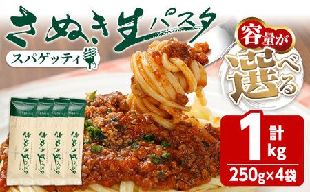 さぬき生パスタ (スパゲッティ) (1kg) 小麦 麺 小分け 常温 コシ もちもち 香川県 【man193】【こんぴらや販売】