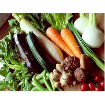 ふるさと納税 香美市 旬の野菜の詰め合わせと栽培期間中に農薬不使用の生姜100g付き