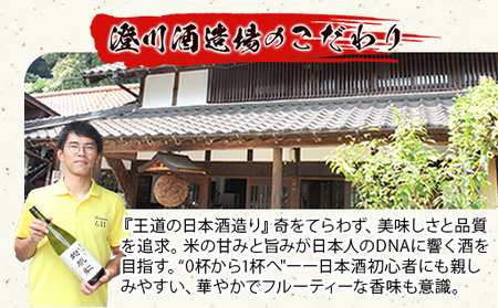 限定 日本酒 東洋美人 地帆紅 (じぱんぐ) 1.8L×1本 大吟醸酒 吟醸酒 酒 お酒 地酒 アルコール｜HG000197
