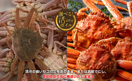 【活】鳥取県産　セコガニ　訳あり良品　1ｋg(5～7枚)《かに カニ 蟹 セコガニ》※2024/11/6～2024/12/25に順次発送予定 ※着日指定不可  離島不可（北海道、沖縄本島は配送可能）