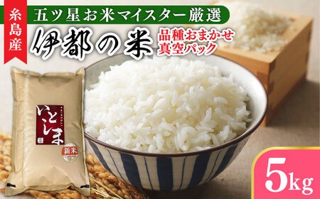 【長期保存可能】 五ツ星お米マイスターが厳選 品種おまかせ 白米 5kg 糸島市 / 米屋納富[ARL005] 米 お米 ご飯 白米 九州 5キロ 真空パック 長期保存 五つ星お米マイスター