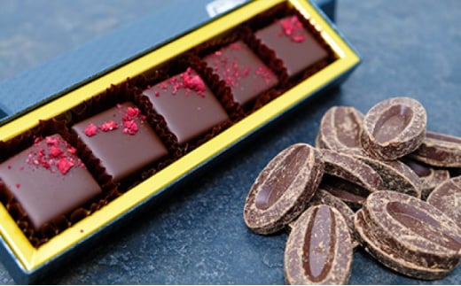 ボンボンショコラ5個(フランボワーズ)&フェーブ80g（コイン状チョコレート）／NICOchocolaterie チョコレート チョコレート専門店 ボンボンショコラ スイーツ お菓子 贈答用 ギフト お取り寄せ 福岡県 小郡市