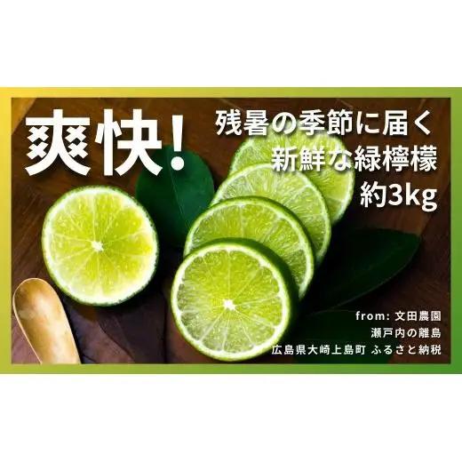 ハウス グリーンレモン 約3kg 【2026年9月以降発送】