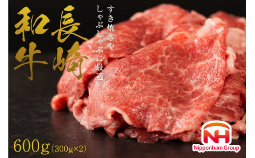 AI123 訳あり 牛肉 長崎和牛 切り落とし 計600g (300g×2P) [ 肉 和牛 牛 精肉 冷凍 小分け すき焼き しゃぶしゃぶ 日本ハムマーケティング 長崎県 島原市 ]