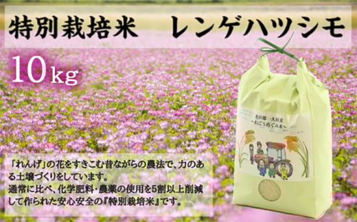 令和7年産 新米 即納 10kg 水の都 大垣米 〜わごうめぐみ米〜【特別栽培米レンゲハツシモ】新米 ごはん 白米 精米 お米 岐阜県 大垣市