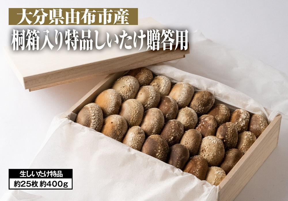 
【全国銅賞受賞】＜贈答用＞桐箱入り特品しいたけ(約400ｇ・サイズ混合約25枚)｜栽培期間農薬不使用【 しいたけ 椎茸 きのこ 野菜 椎茸 朝採れ 人気 おすすめ 大分県 由布市 AW08 】
